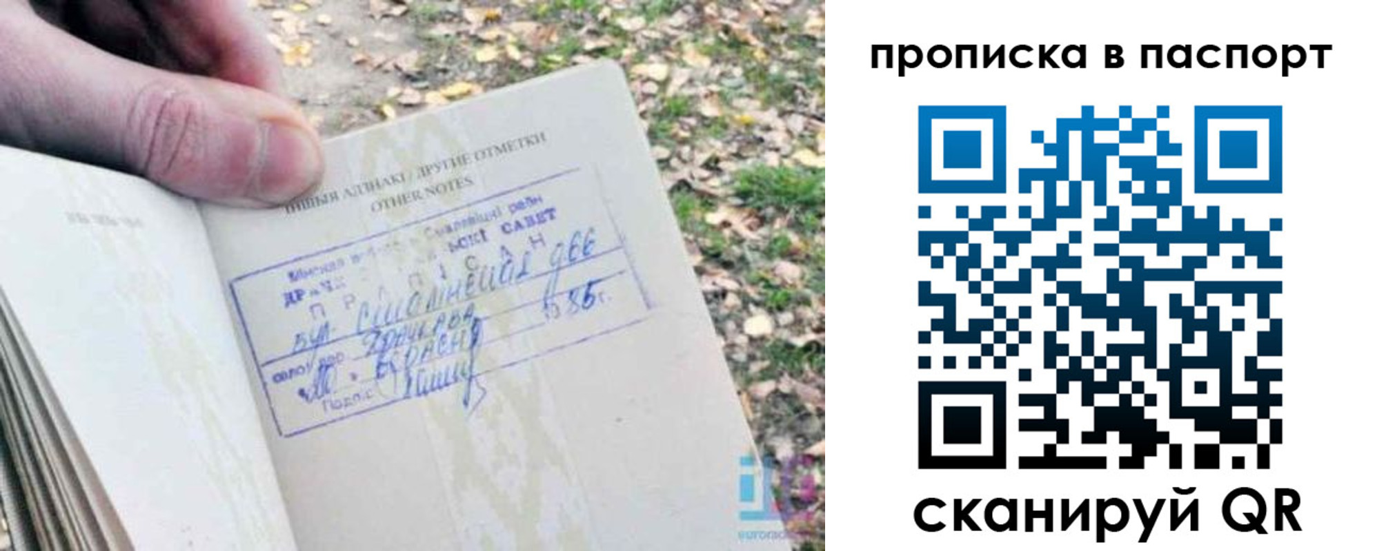 купить прописку в Зее